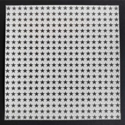 Black Star Blotter